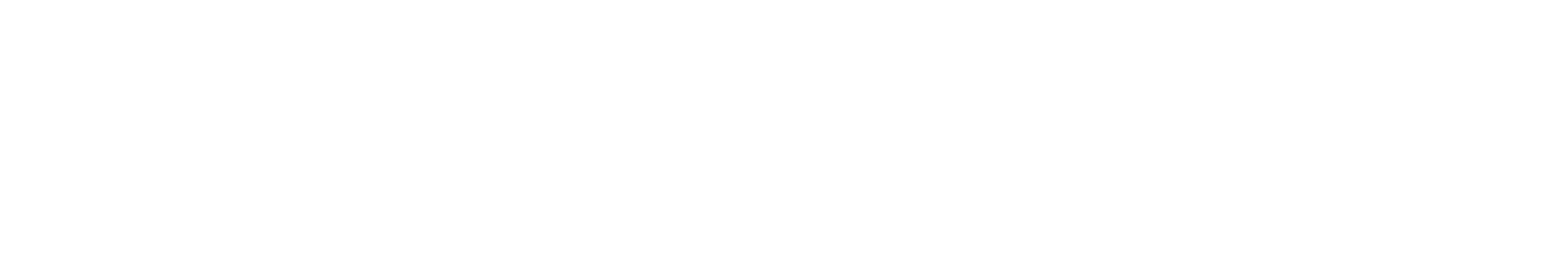 Performans Dergileri